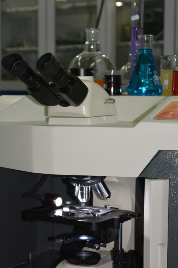 Raman Microscope - Image 5