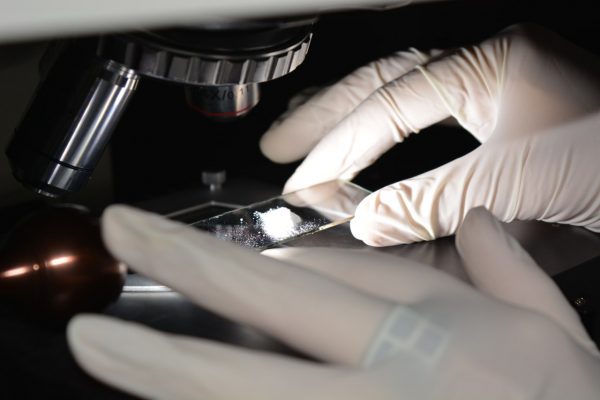 Raman Microscope - Image 8