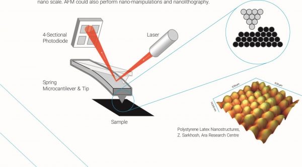 Atomic Force Microscope ( SPM complete system) Brisk-AFM UK - Image 2